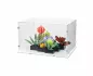 Preview: 10309 Succulents Display Case
