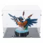 Preview: 10331 Kingfisher Bird Display Case