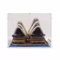 Preview: 10234 Sydney Opera House Display Case