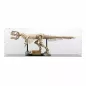 Preview: 76968 Dinosaur Fossils: Tyrannosaurus Rex - Display Case