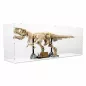 Preview: 76968 Dinosaur Fossils: Tyrannosaurus Rex - Display Case