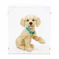 Preview: 11384 Golden Retriever Welpe - Acryl Vitrine Lego