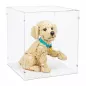 Preview: 11384 Golden Retriever Welpe - Acryl Vitrine Lego