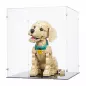 Preview: 11384 Golden Retriever Welpe - Acryl Vitrine Lego