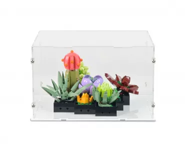 10309 Succulents Display Case