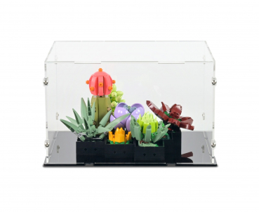 Preview: 10309 Succulents Display Case