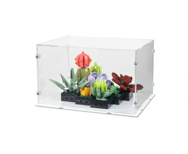 10309 Succulents Display Case