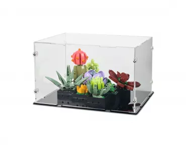 10309 Succulents Display Case