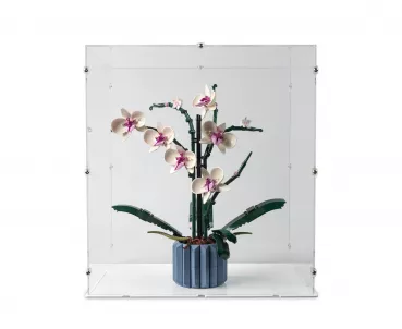 10311 Orchid Display Case