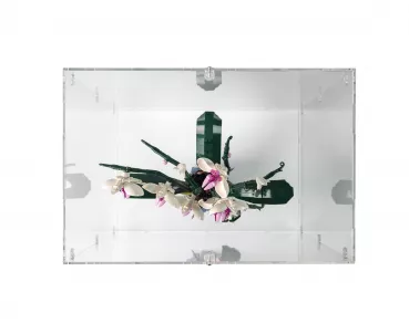 10311 Orchid Display Case