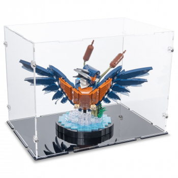 Preview: 10331 Kingfisher Bird Display Case