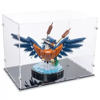 10331 Eisvogel - Acryl Vitrine