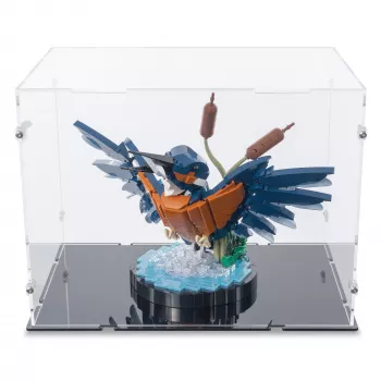 10331 Kingfisher Bird Display Case