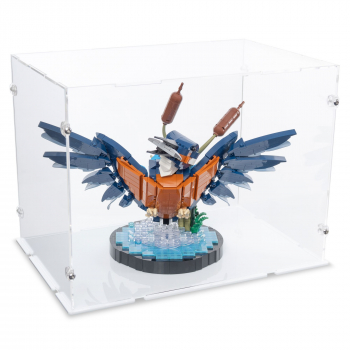 Preview: 10331 Kingfisher Bird Display Case
