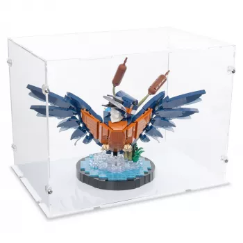 10331 Eisvogel - Acryl Vitrine