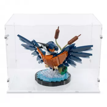 10331 Eisvogel - Acryl Vitrine