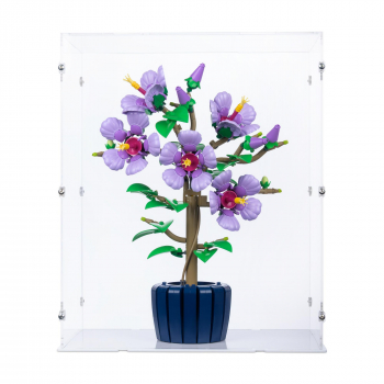 Preview: 10372 Hibiscus - Display Case