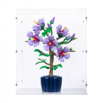 10372 Hibiscus - Display Case