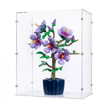 10372 Hibiscus - Display Case