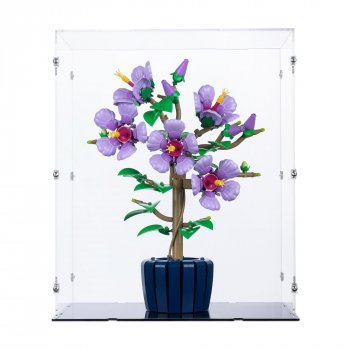 Preview: 10372 Hibiscus - Display Case