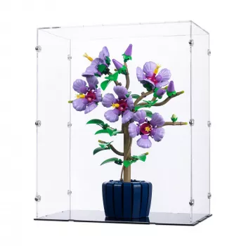 10372 Hibiscus - Display Case