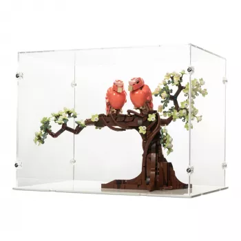 21365 Turteltauben - Acryl Vitrine