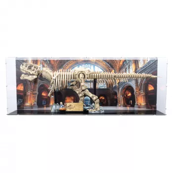 76968 Dinosaur Fossils: Tyrannosaurus Rex - Display Case