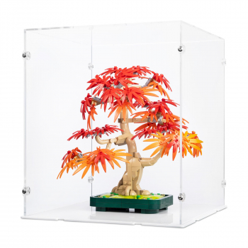 Preview: 10348 Japanese Red Maple Bonsai Tree - Display Case