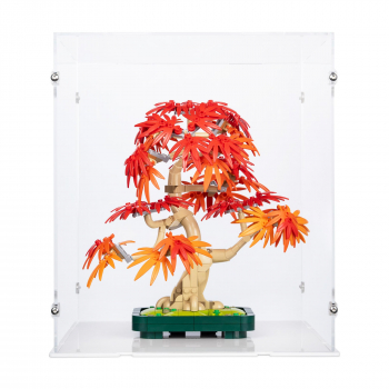 Preview: 10348 Japanese Red Maple Bonsai Tree - Display Case