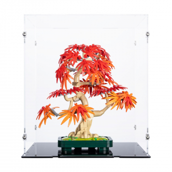 Preview: 10348 Japanese Red Maple Bonsai Tree - Display Case
