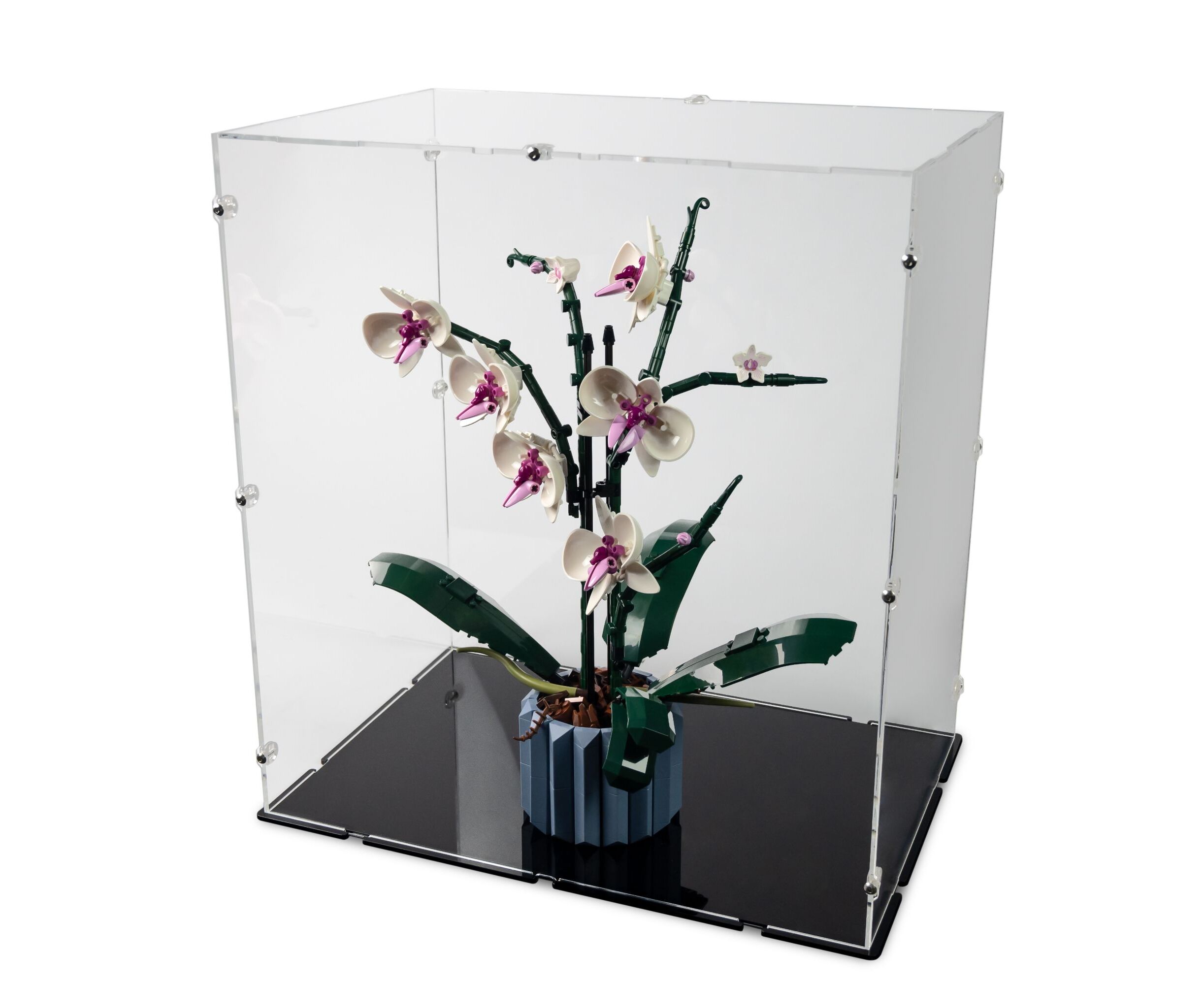 Acrylic Displays for your Lego Models-Lego 10311 Orchid Display Case
