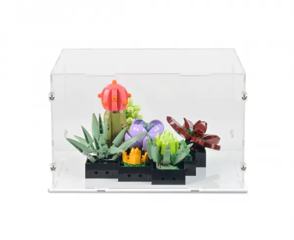 10309 Succulents Display Case