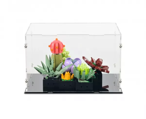 10309 Succulents Display Case