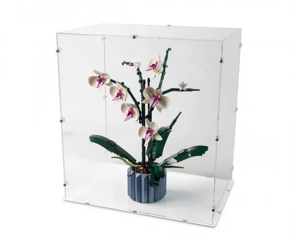 10311 Orchid Display Case