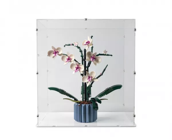 10311 Orchid Display Case