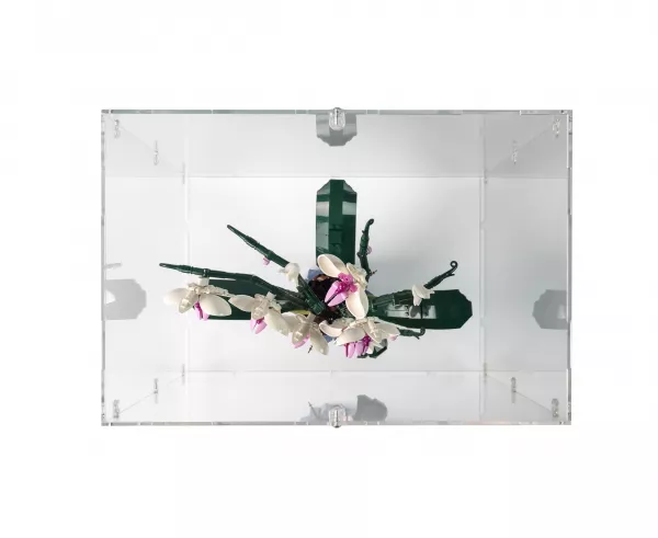 10311 Orchid Display Case