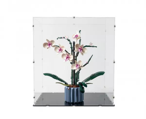 10311 Orchid Display Case