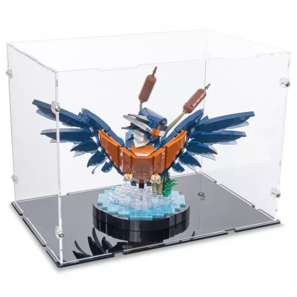 10331 Eisvogel - Acryl Vitrine