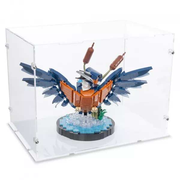 10331 Kingfisher Bird Display Case