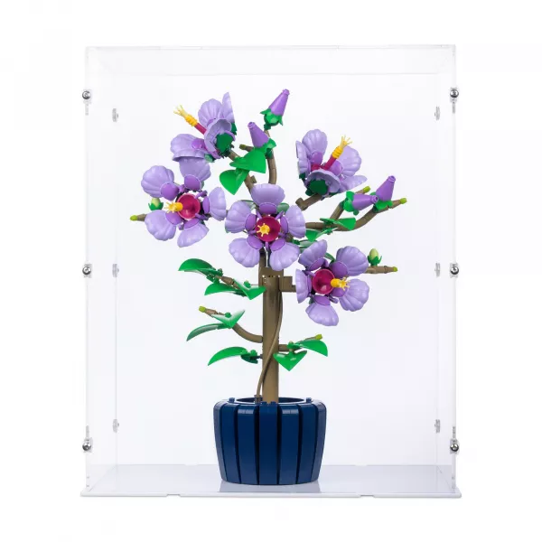 10372 Hibiscus - Display Case
