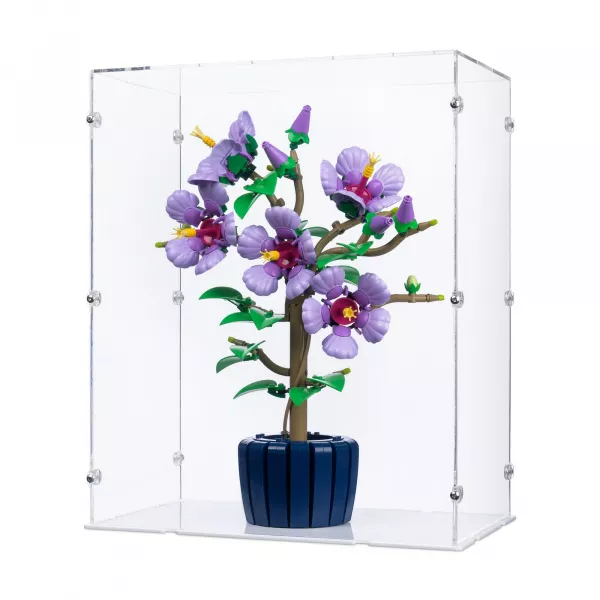 10372 Hibiscus - Display Case
