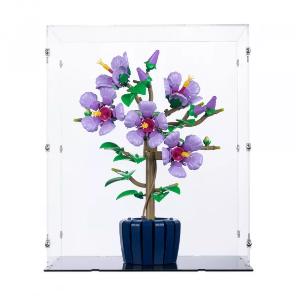 10372 Hibiscus - Display Case