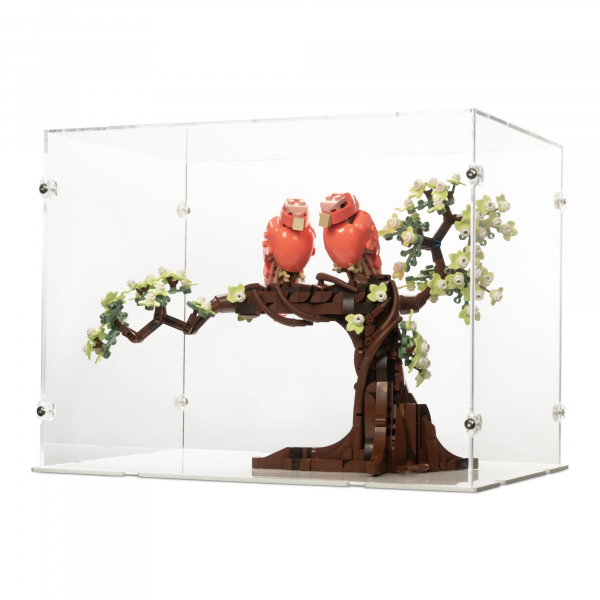 21365 Turteltauben - Acryl Vitrine