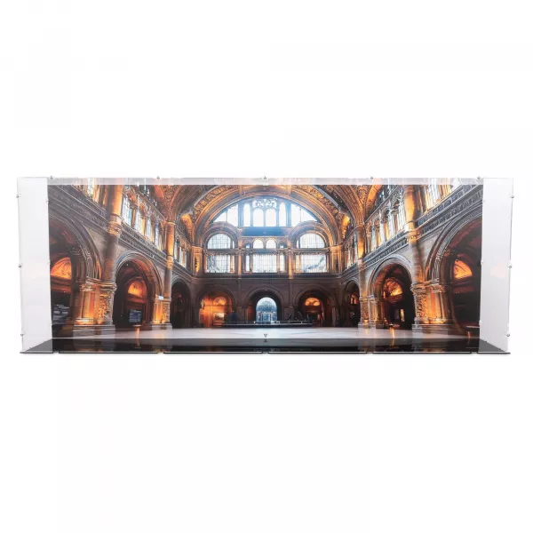 76968 Dinosaur Fossils: Tyrannosaurus Rex - Display Case