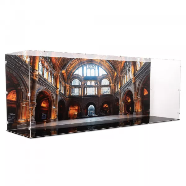 76968 Dinosaur Fossils: Tyrannosaurus Rex - Display Case