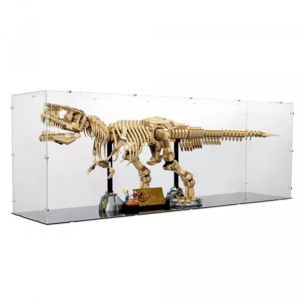 76968 Dinosaur Fossils: Tyrannosaurus Rex - Display Case