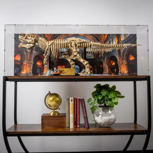 76968 Dinosaur Fossils: Tyrannosaurus Rex - Display Case