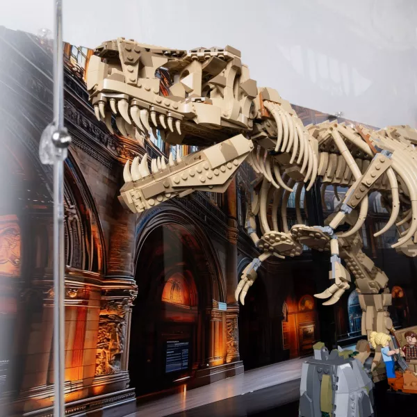 76968 Dinosaur Fossils: Tyrannosaurus Rex - Display Case