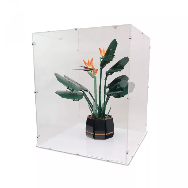 10289 Bird of Paradise Display Case