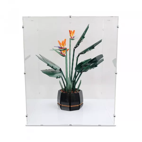 10289 Bird of Paradise Display Case